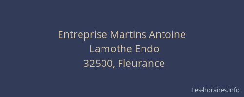 Entreprise Martins Antoine
