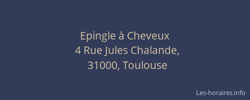 Epingle à Cheveux