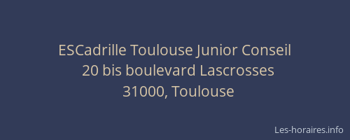 ESCadrille Toulouse Junior Conseil