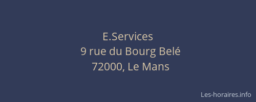 E.Services