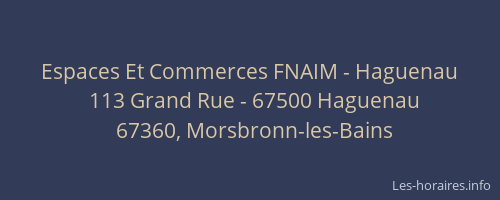 Espaces Et Commerces FNAIM - Haguenau