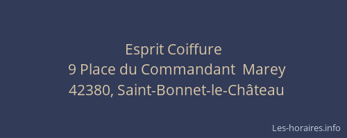 Esprit Coiffure
