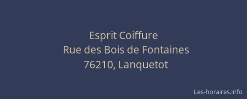 Esprit Coiffure