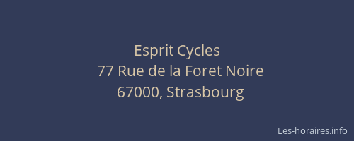 Esprit Cycles