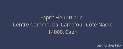 Esprit Fleur Bleue