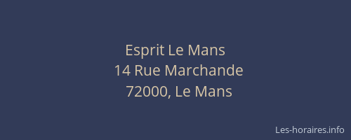 Esprit Le Mans