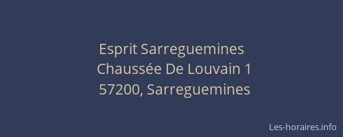 Esprit Sarreguemines