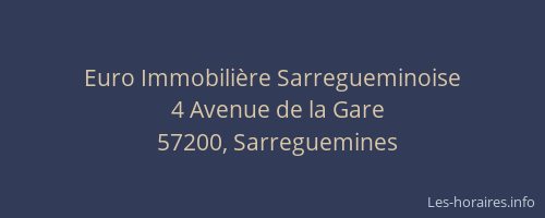 Euro Immobili&egrave;re Sarregueminoise