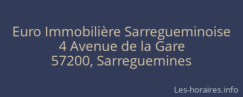Euro Immobilière Sarregueminoise