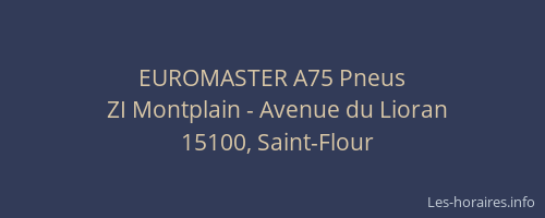 EUROMASTER A75 Pneus