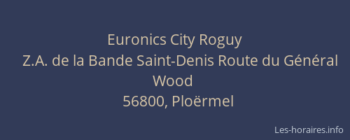 Euronics City Roguy