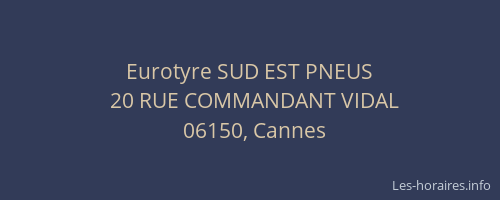 Eurotyre SUD EST PNEUS