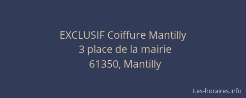 EXCLUSIF Coiffure Mantilly