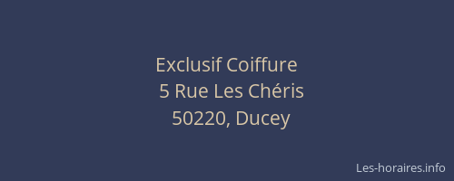 Exclusif Coiffure