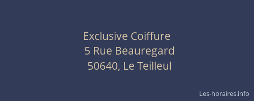 Exclusive Coiffure