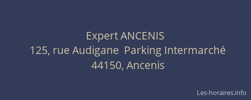 Expert ANCENIS
