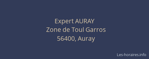 Expert AURAY