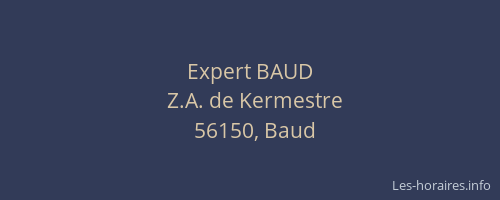 Expert BAUD