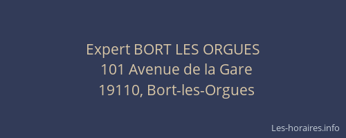 Expert BORT LES ORGUES