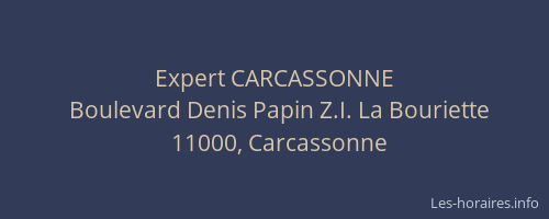 Expert CARCASSONNE
