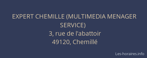 EXPERT CHEMILLE (MULTIMEDIA MENAGER SERVICE)