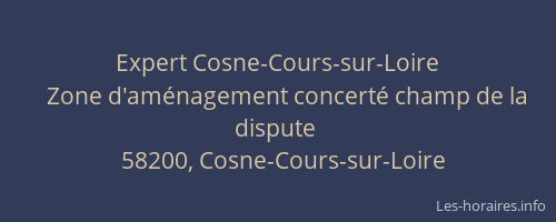 Expert Cosne-Cours-sur-Loire