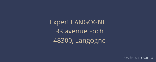 Expert LANGOGNE