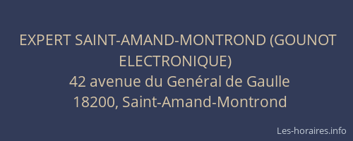 EXPERT SAINT-AMAND-MONTROND (GOUNOT ELECTRONIQUE)