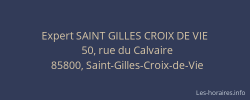 Expert SAINT GILLES CROIX DE VIE