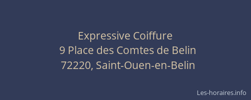 Expressive Coiffure
