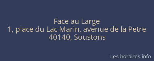 Face au Large