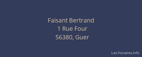 Faisant Bertrand