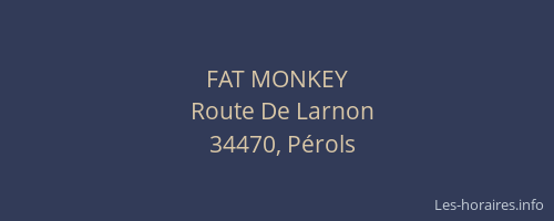 FAT MONKEY