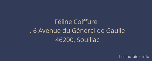 Féline Coiffure