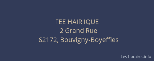 FEE HAIR IQUE