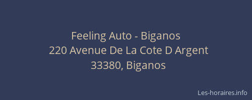Feeling Auto - Biganos