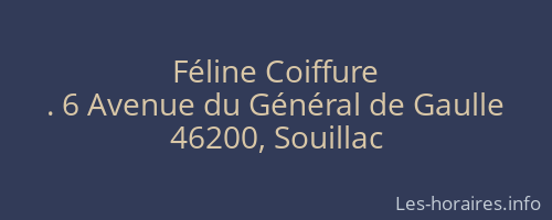 Féline Coiffure