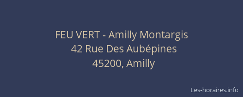 FEU VERT - Amilly Montargis