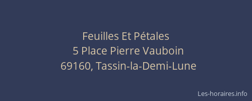 Feuilles Et Pétales