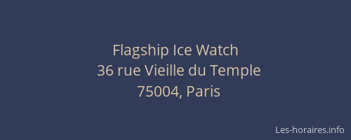 Flagship Ice Watch