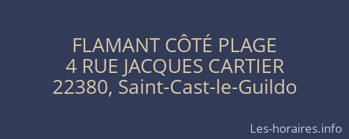 FLAMANT CÔTÉ PLAGE