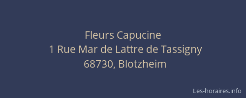 Fleurs Capucine