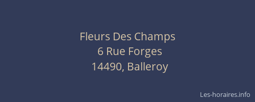 Fleurs Des Champs