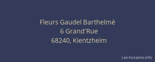Fleurs Gaudel Barthelm&eacute;