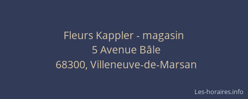 Fleurs Kappler - magasin
