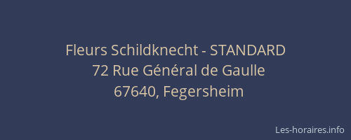 Fleurs Schildknecht - STANDARD