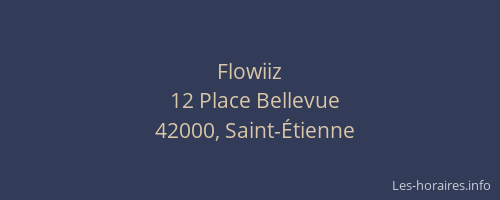Flowiiz