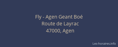 Fly - Agen Geant Boé