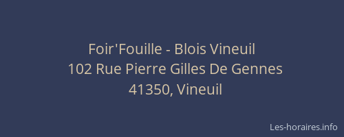 Foir'Fouille - Blois Vineuil
