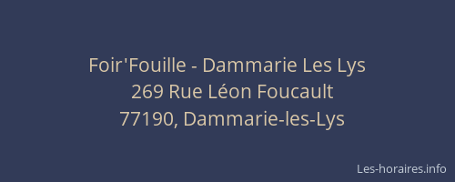 Foir'Fouille - Dammarie Les Lys